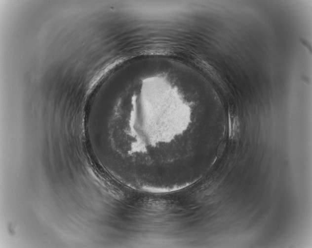 X0000102520531200808291759