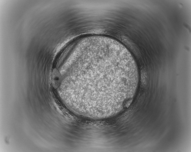 X0000102520532200808291759