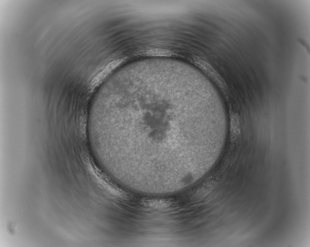 X0000102520533200808291759