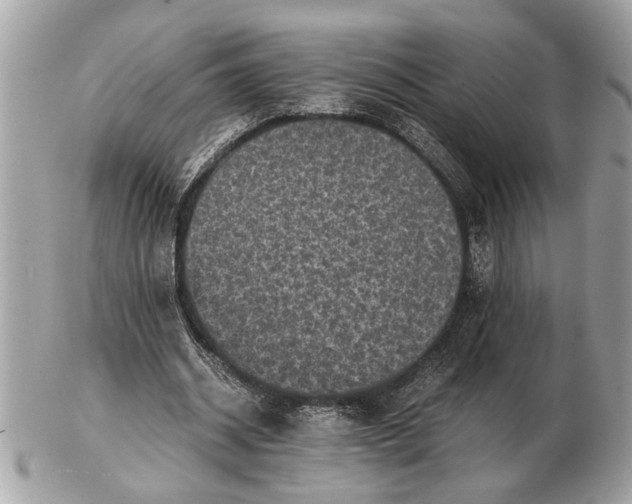 X0000102520534200808291759