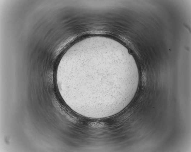 X0000102520535200808291759