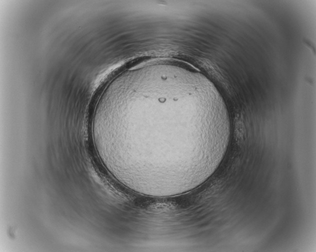 X0000102520536200808291759