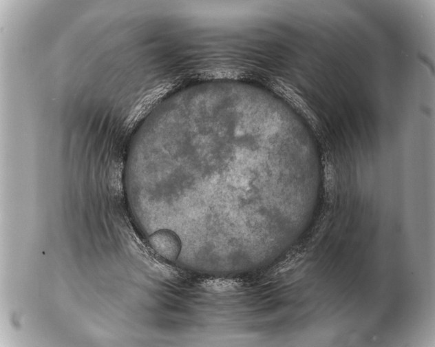 X0000102520537200808291759