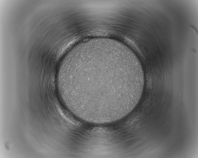 X0000102520538200808291759