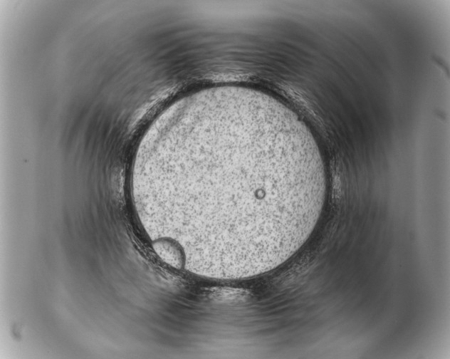 X0000102520539200808291759