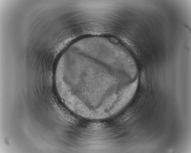 X0000102520540200808291759