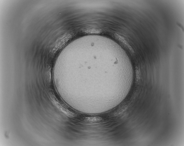 X0000102520541200808291759