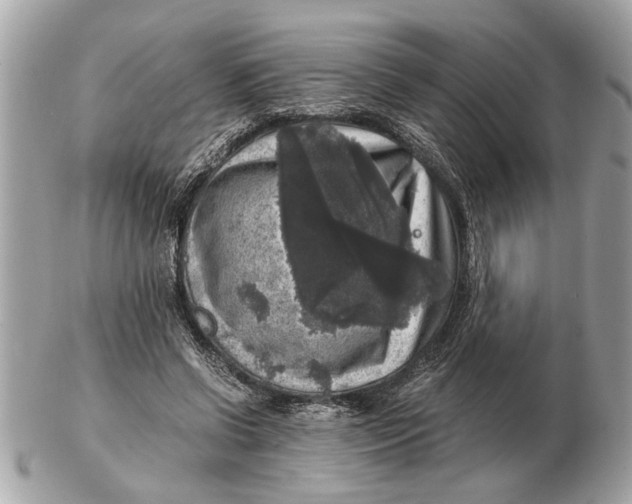 X0000102520542200808291759