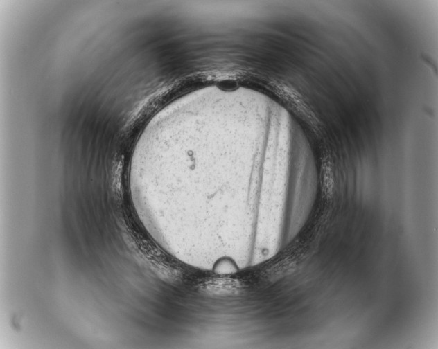 X0000102520543200808291759