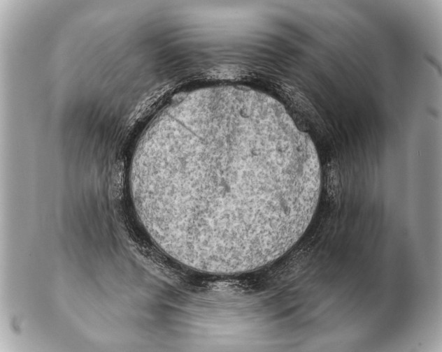 X0000102520544200808291759