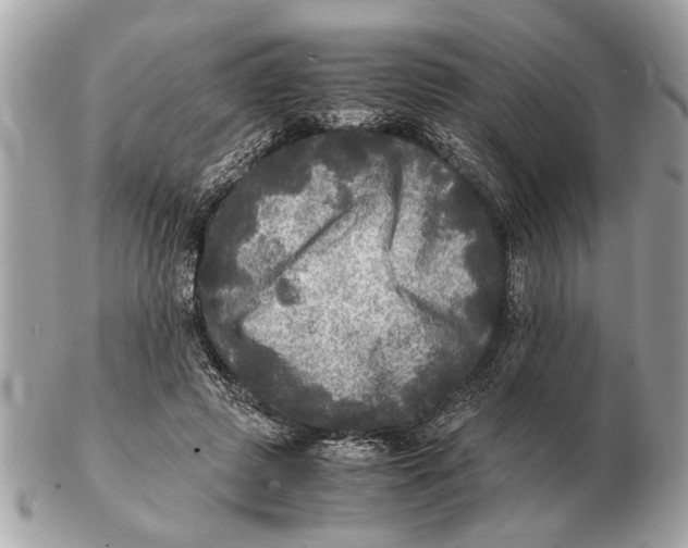 X0000102520545200808291759