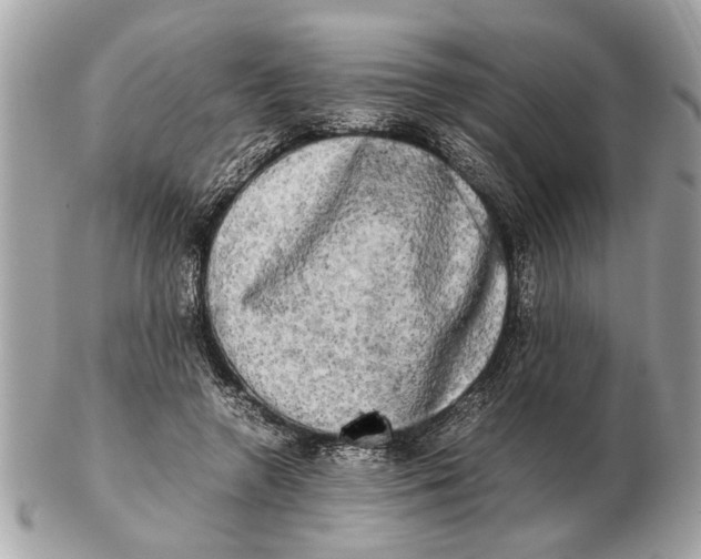 X0000102520546200808291759