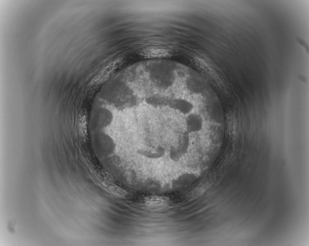 X0000102520549200808291759