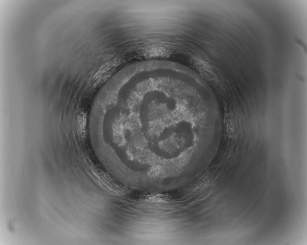 X0000102520550200808291759