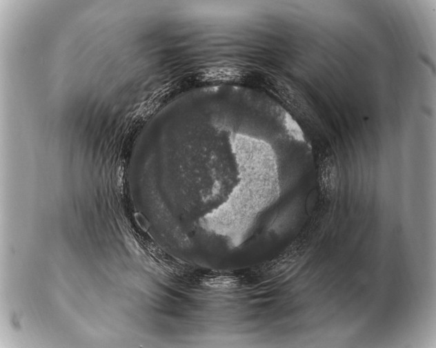 X0000102520551200808291759