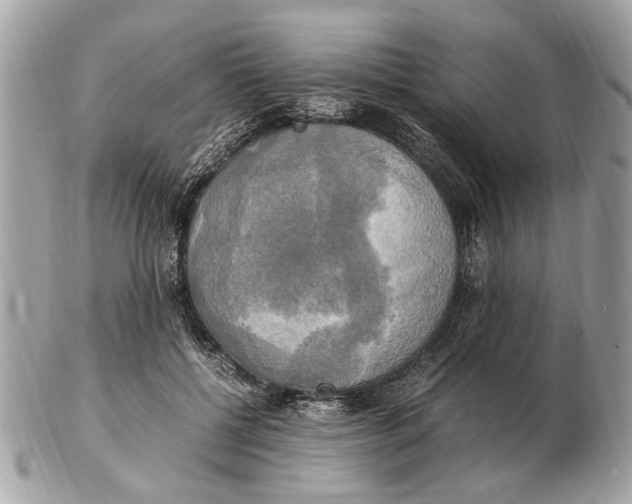 X0000102520552200808291759