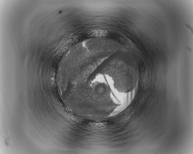 X0000102520553200808291759