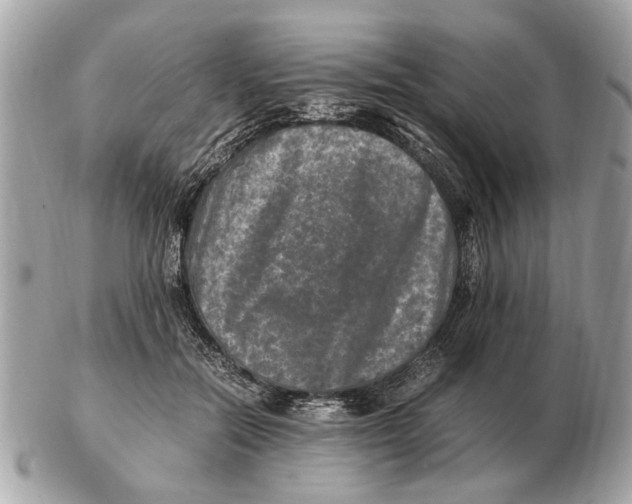 X0000102520554200808291759