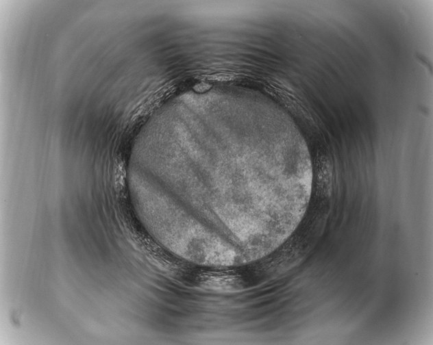 X0000102520555200808291759