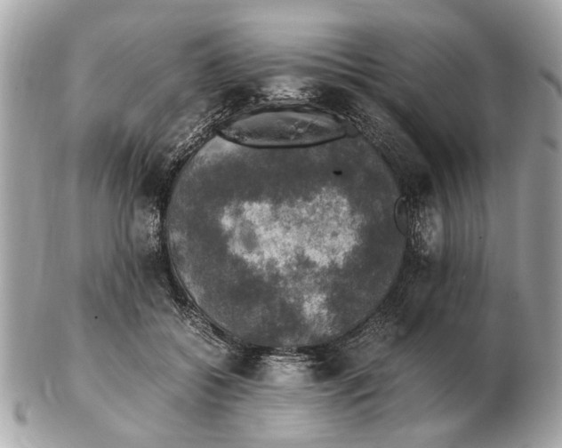 X0000102520556200808291759