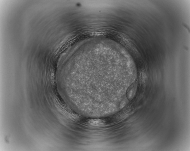 X0000102520557200808291759