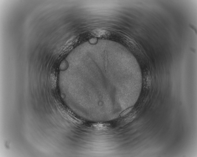 X0000102520558200808291759