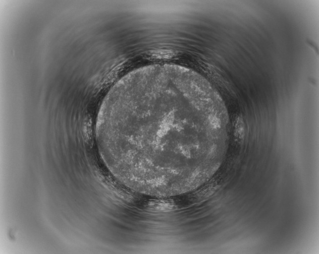 X0000102520559200808291759