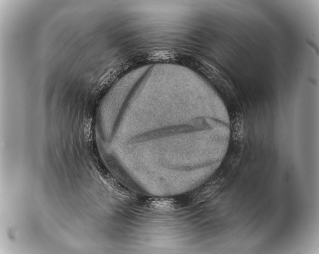 X0000102520560200808291759