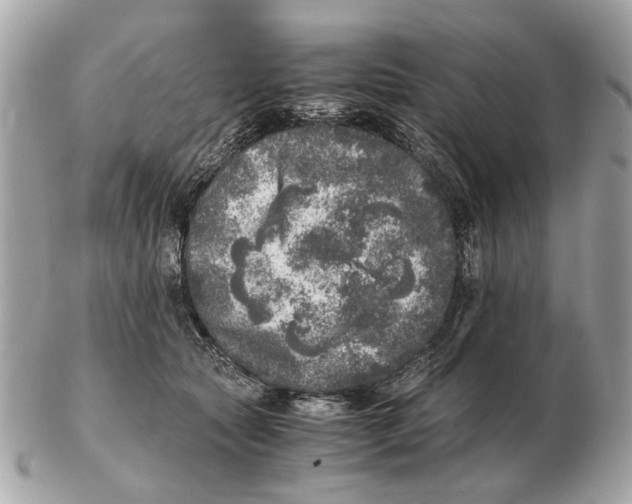 X0000102520561200808291759