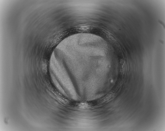 X0000102520562200808291759