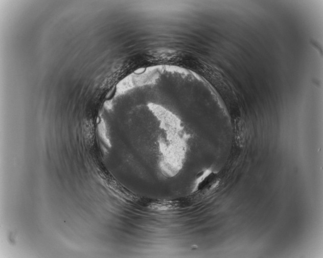 X0000102520563200808291759