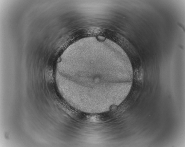 X0000102520564200808291759