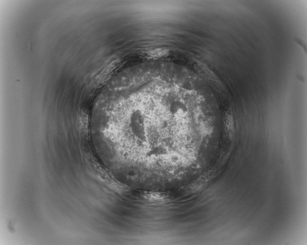 X0000102520565200808291759