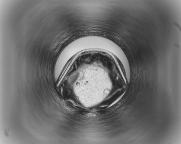 X0000102520566200808291759