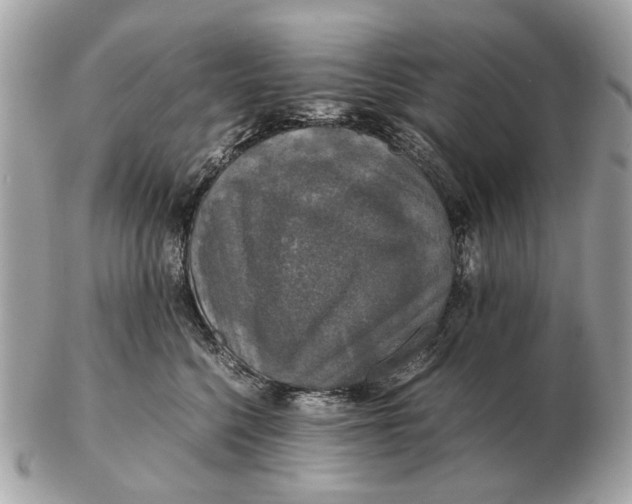 X0000102520568200808291759