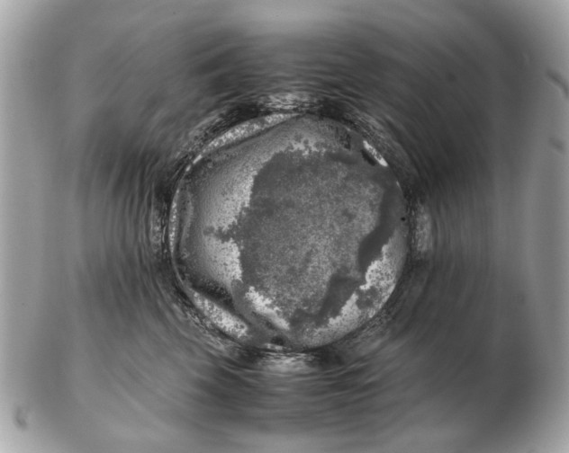 X0000102520569200808291759