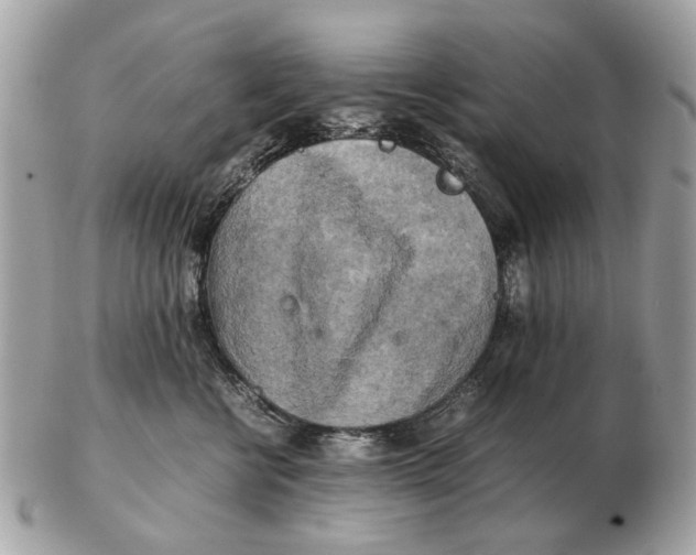 X0000102520570200808291759