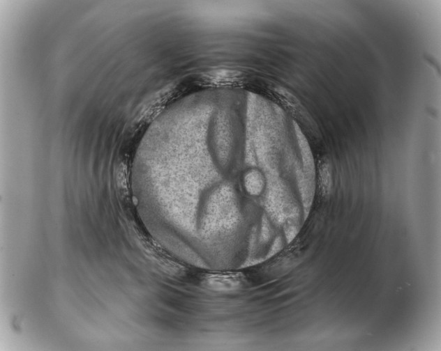 X0000102520571200808291759