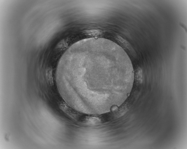 X0000102520572200808291759