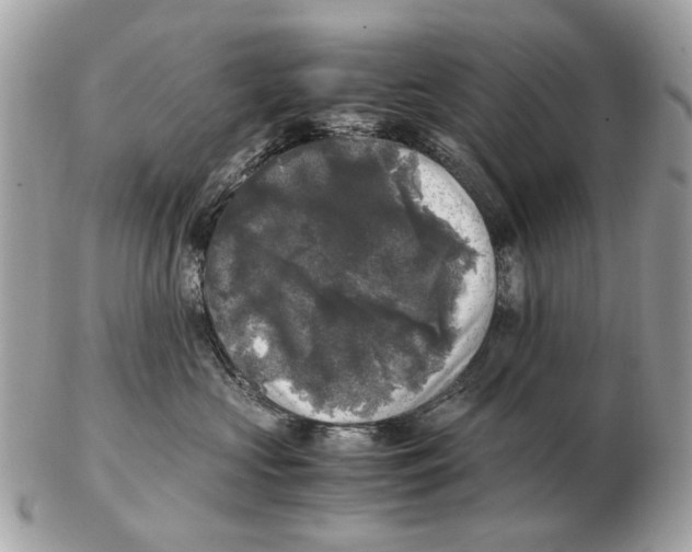 X0000102520573200808291759