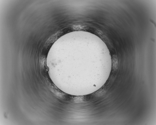 X0000102520574200808291759