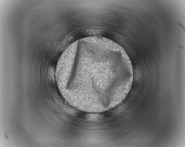 X0000102520575200808291759