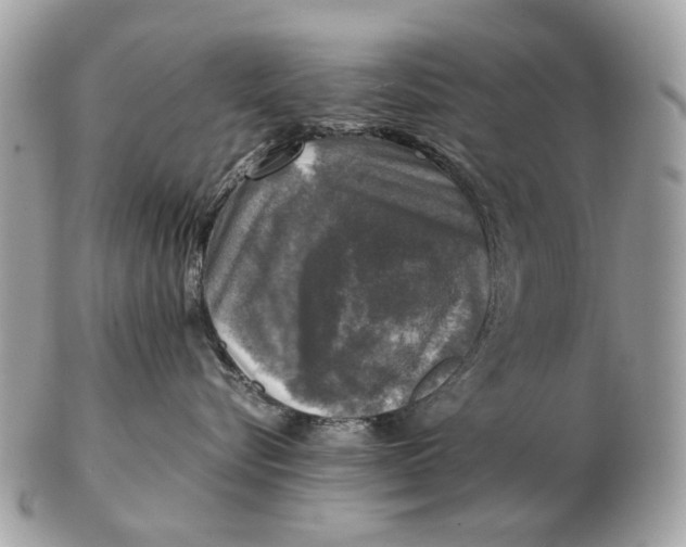 X0000102520576200808291759