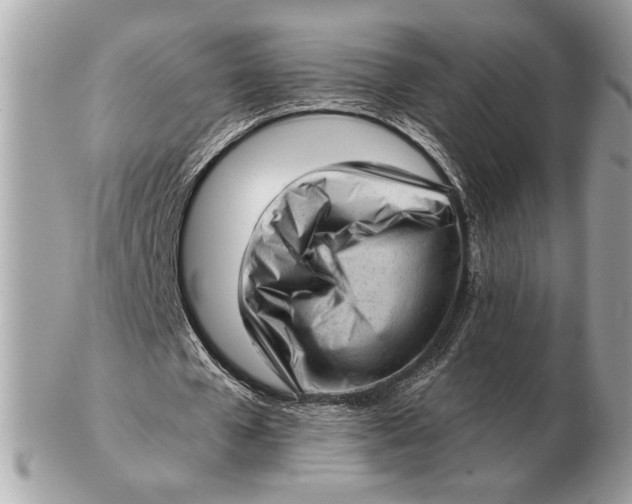 X0000102520577200808291759