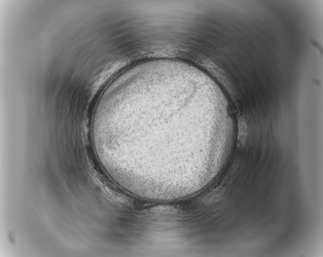 X0000102520578200808291759