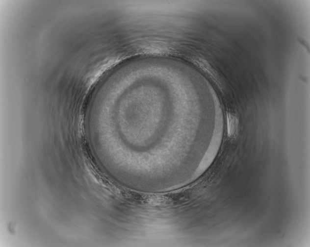 X0000102520579200808291759