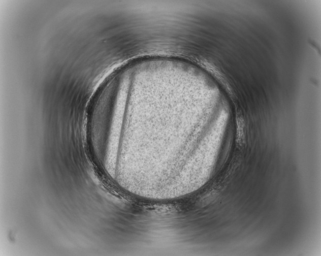 X0000102520580200808291759