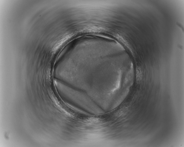 X0000102520581200808291759