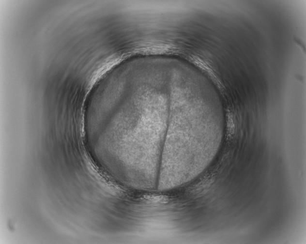 X0000102520582200808291759