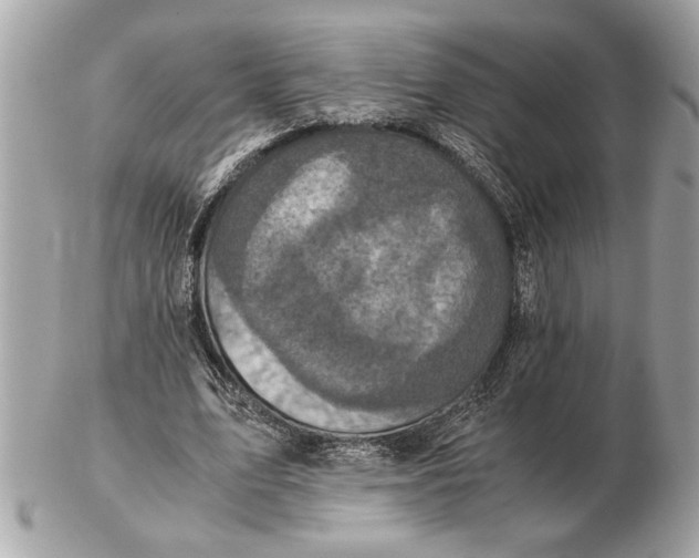 X0000102520583200808291759